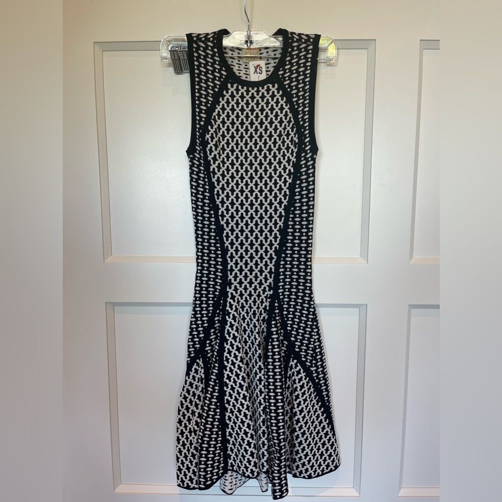 Torn by Ronny Kobo dress. Size XS.